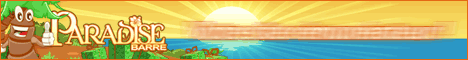 bannière publicitaire Paradise Barre