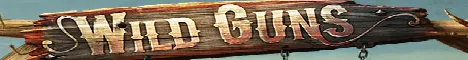 Découvrez Wild Guns