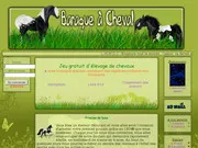 Baraque à cheval 